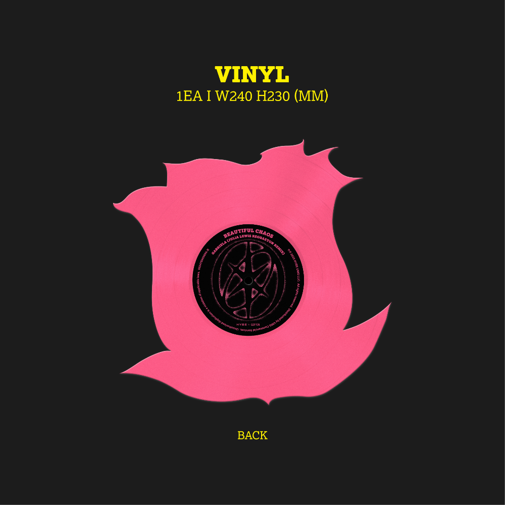  Gabriela / Gabriela (Reggaeton Remix) [7" Die-Cut] 33 