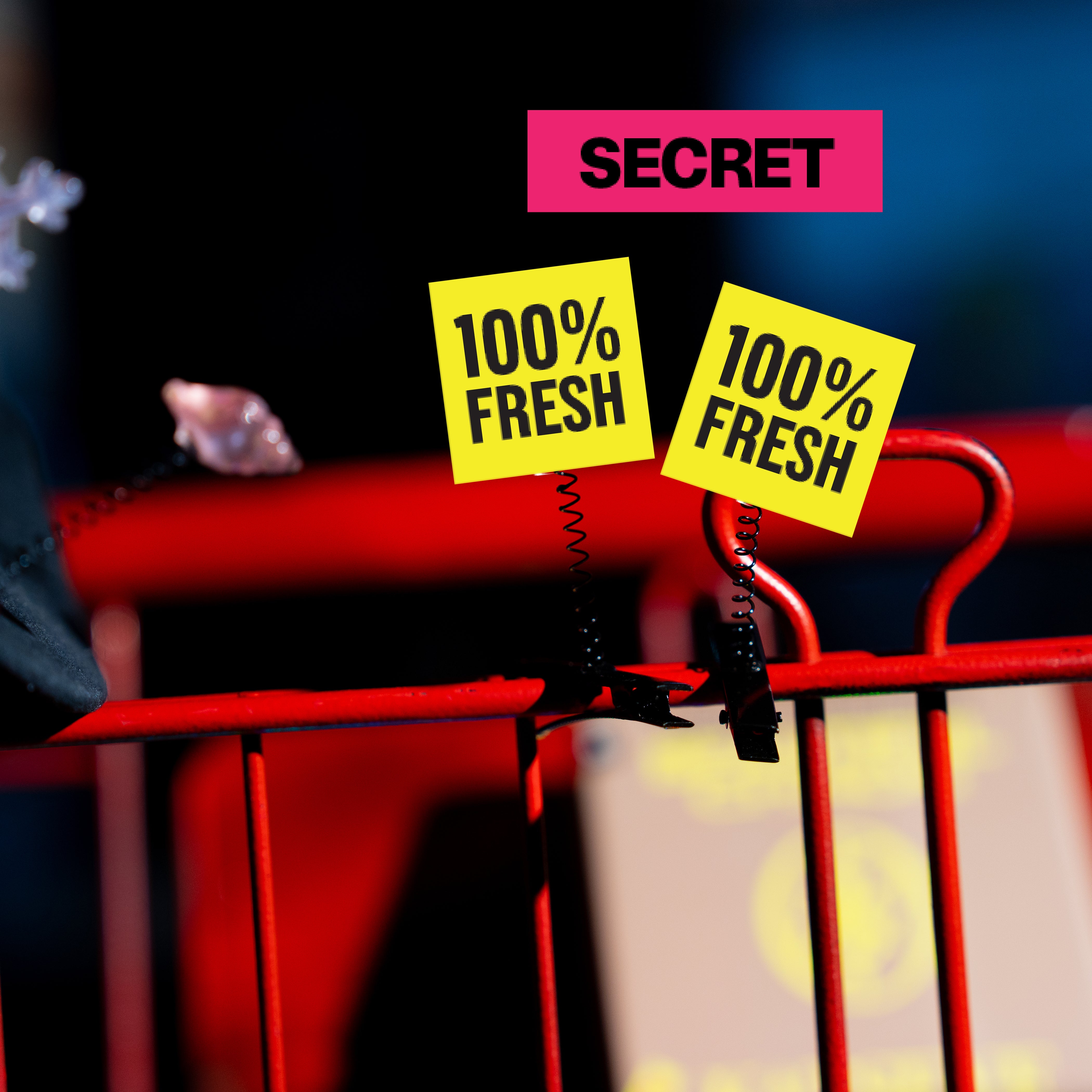 BEAUTIFUL CHAOS Charm Sprouts Lifestyle Secret