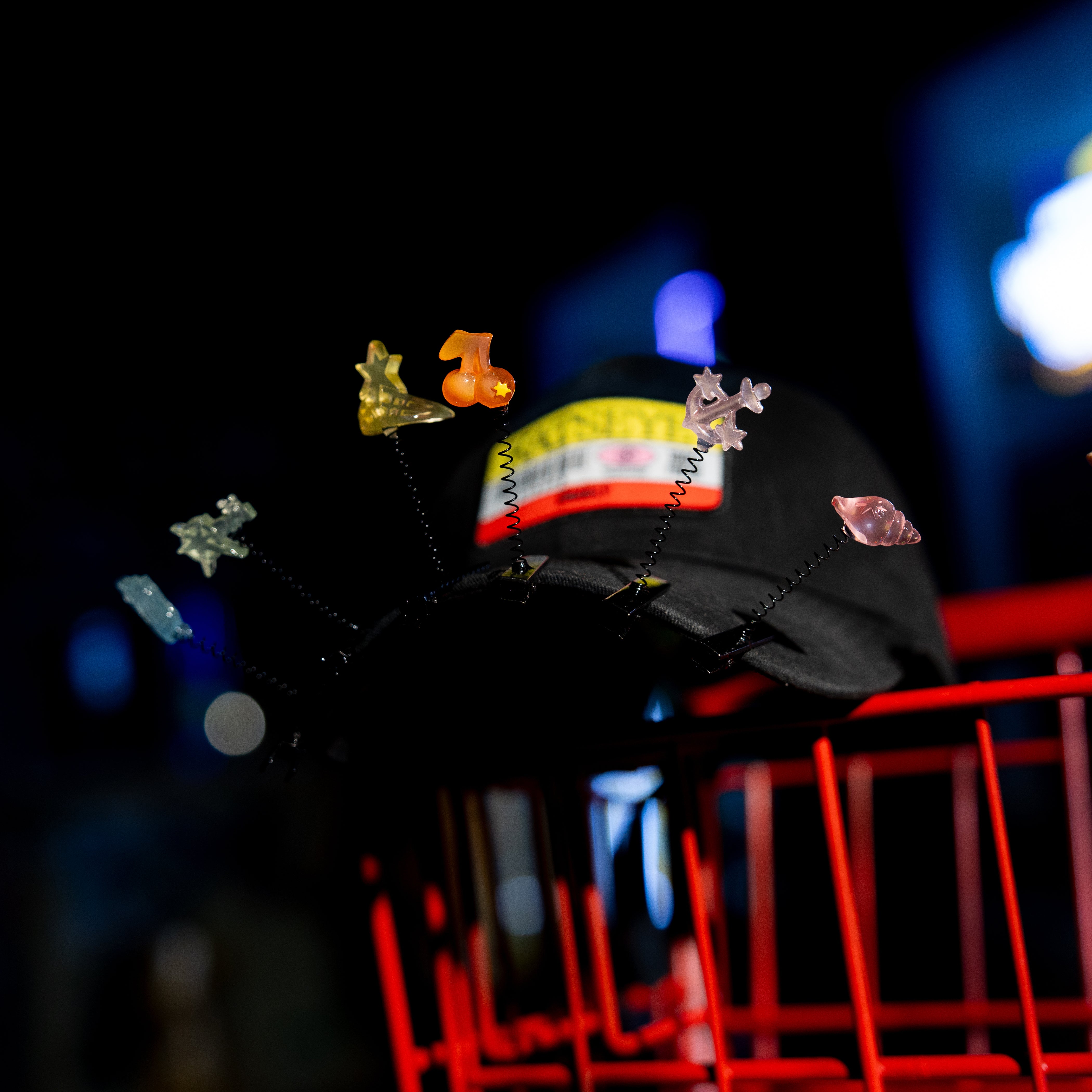 BEAUTIFUL CHAOS Charm Sprouts Lifestyle