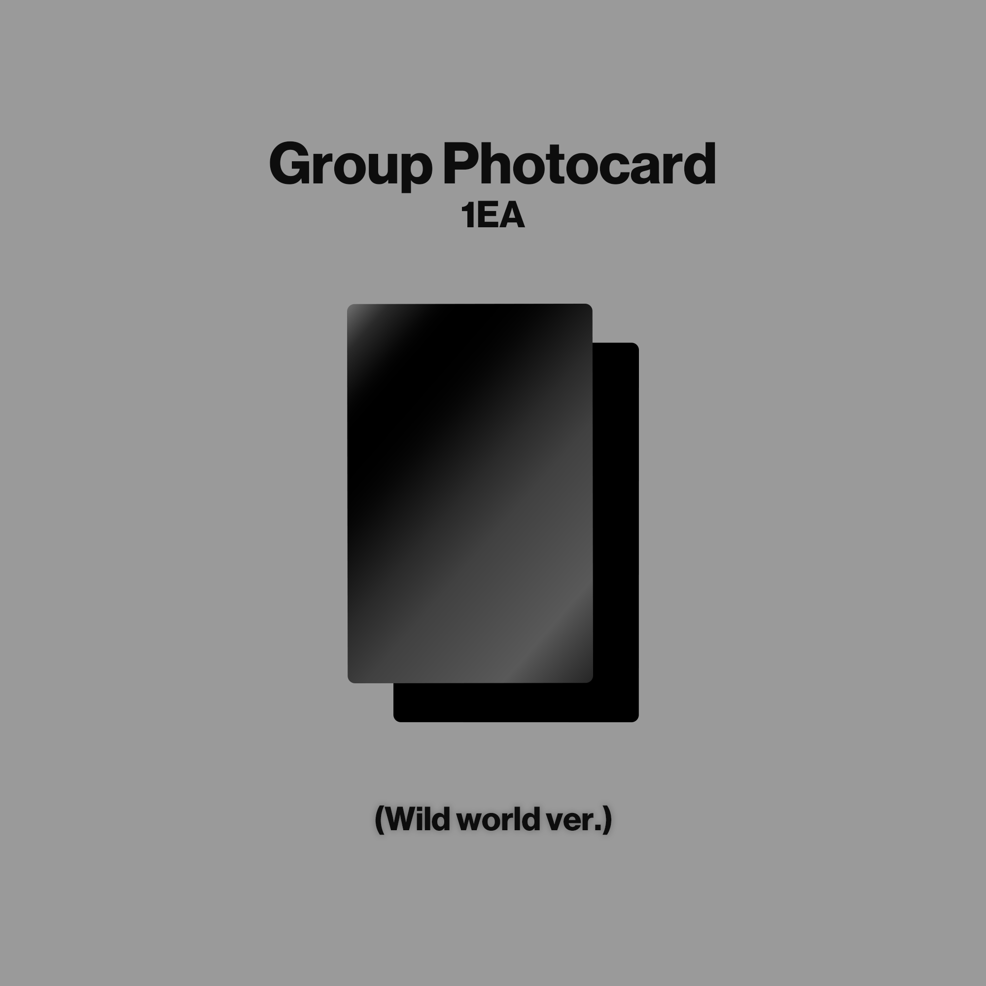 WILD - Wild world ver. CD